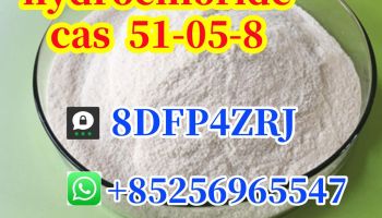 CAS 51-05-8		Procaine hydrochloride/Procaine HCL