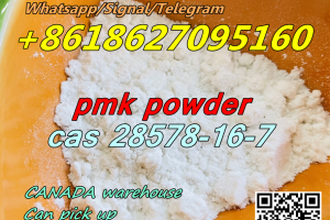 Supply white pmk powder cas 28578-16-7